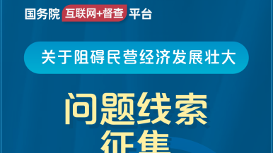 土豪操女人逼逼视频国务院“互联网+督查”平台公开征集阻碍民营经济发展壮大问题线索